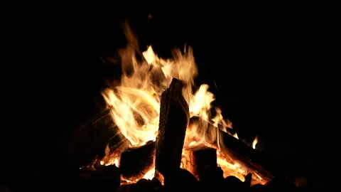 Beach Bonfire at Night Stock Footage 159964979