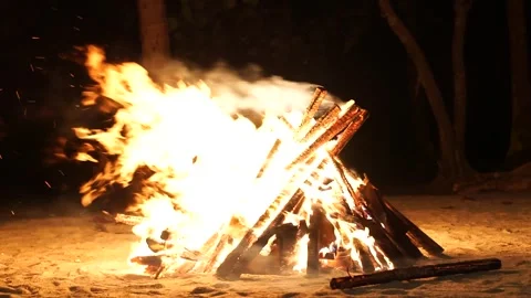 Beach Bonfire at Night Stock Footage 336114000