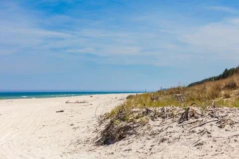 Beach branches on sand Stock Photos