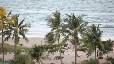 Beach in Brazil Stock Footage 10893706