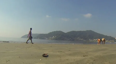 Beach in Brazil Vídeo Stock 35676634