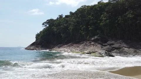 Beach in Brazil surrounded by Atlantic Forest and Golden Sand Video stock 167484627