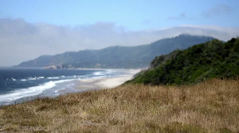 Beach in the Breeze Video stock 31583734