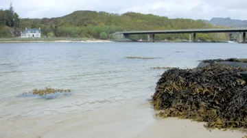 Beach, Bridge and House Stock Footage 85955359
