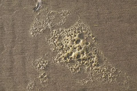 Beach Bubbles Foto stock