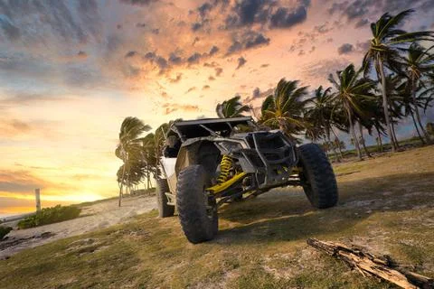 Beach bugger on sand with palm in background at colorful sunset time. Punta Cana 写真素材