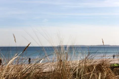 A beach with a bunch of grass on it on Baltic Sea in Germany Stock Photos