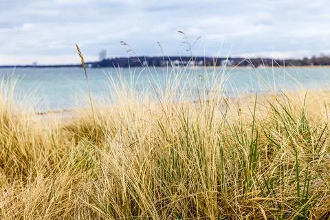 A beach with a bunch of grass on it Baltic Sea in Germany Stock Photos