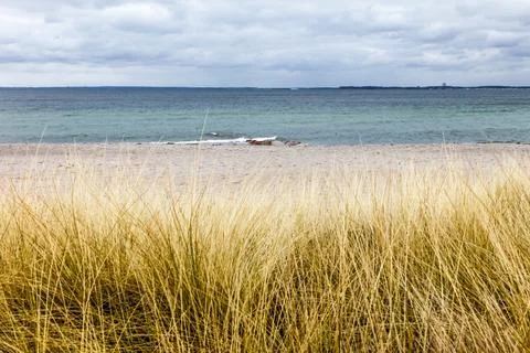 A beach with a bunch of grass on it Baltic Sea in Germany Foto stock