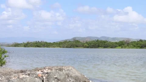 Beach in Cabo Rojo Stock Footage 231539463