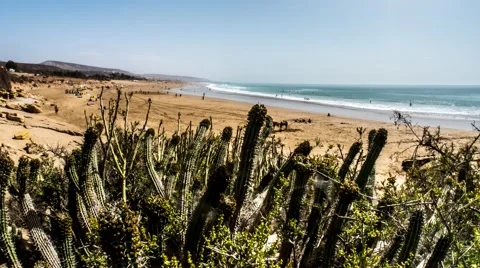 Beach Cactus Timelapse 4k Stock Footage 68995611