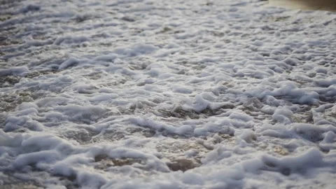 A beach with a calm ocean Stock Footage 297951284