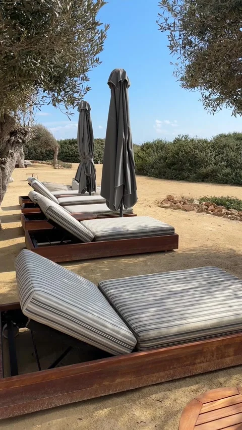 Beach calm scene with sunbed, table and umbrella under olive trees close to sea 스톡 동영상 331298846