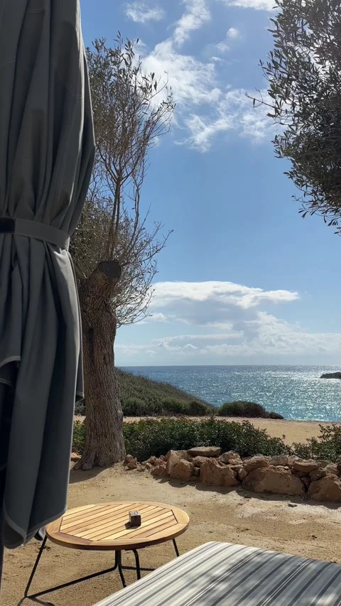 Beach calm scene with sunbed, table and umbrella under olive trees close to sea Vídeo Stock 331298848