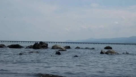 Beach with calm waves 動画素材 222774551