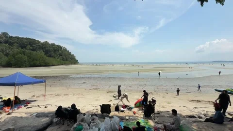 Beach Camping and Low Tide Scene in Port Dickson Malaysia Stock Footage 340484769