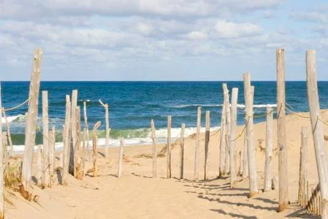 Beach at cape cod Stock Photos