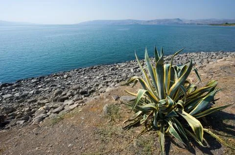 Beach of Capernaum Stock Photos