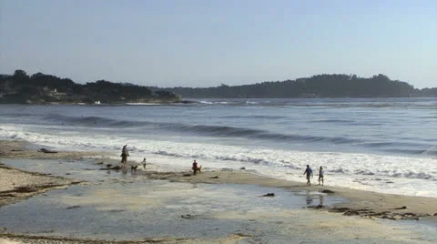 Beach at Carmel by the Sea Stock Footage 25390202