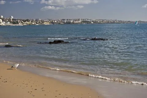 Beach in Cascais Stock Photos