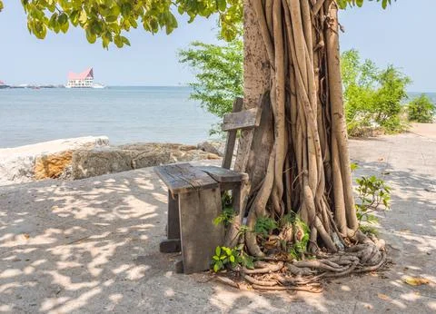 Beach chair under a tree Stock Photos