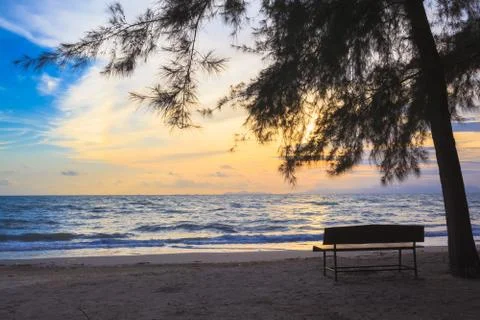 Beach chairs under tree on beach at sunset Stock Photos