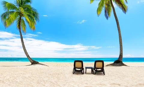 Beach chairs on white sandy beach with coconut palm trees and turquoise sea.. Stock-Fotos