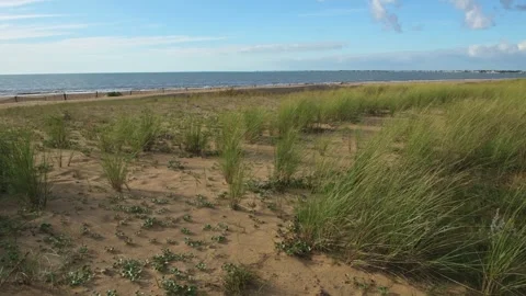 The beach at Chatelaillon-Plage, Charente maritime, Nouvelle-Aquitaine, France Stock Footage 286373216