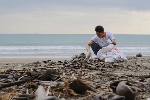 Beach Clean Action Stock Photos