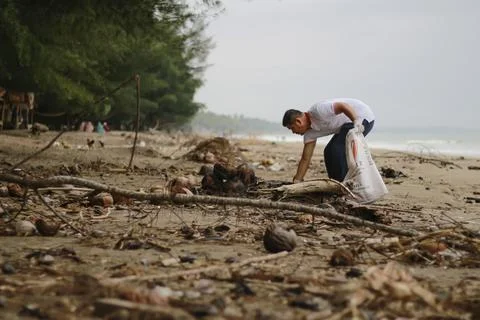 Beach Clean Action Stock Photos