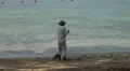 Beach Cleaner HD Footage