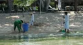Beach cleaners at hotel beach HD Footage