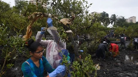 Beach Cleaning---190805 Video stock 113994447