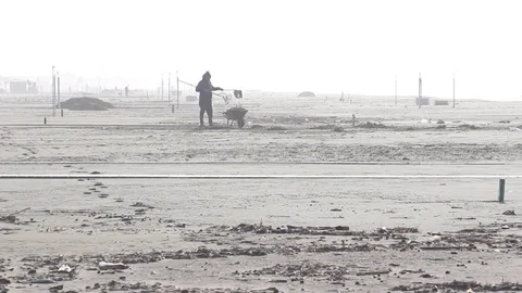 Beach cleaning Video stock 84830079