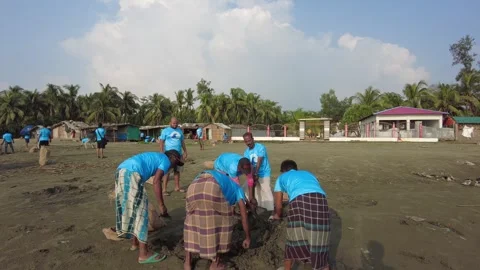 Beach Cleaning Stock Footage 252918255