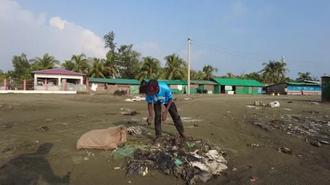 Beach Cleaning Stock Footage 252918955