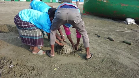 Beach Cleaning Stock Footage 252921368
