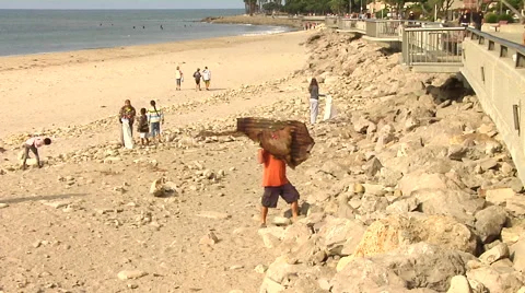 Beach Cleanup 02 Stock Footage 40627874