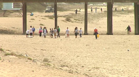 Beach Cleanup 05 Stock Footage 40628339