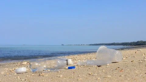 Beach cleanup Stock Footage 122900945