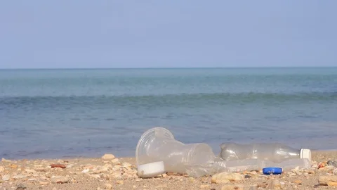 Beach cleanup Stock Footage 123823176