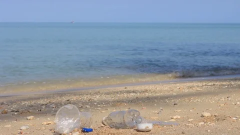 Beach cleanup Stock Footage 124517316