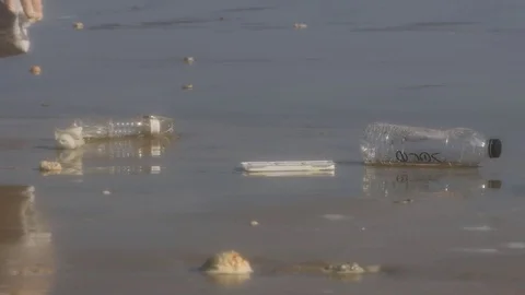 Beach cleanup Stock Footage 128216642