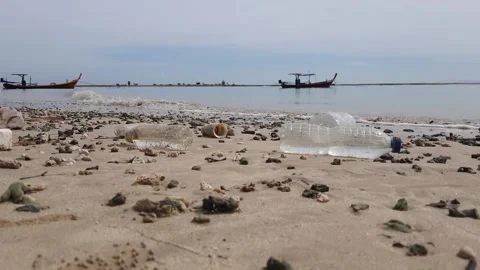 Beach cleanup Stock Footage 130990291