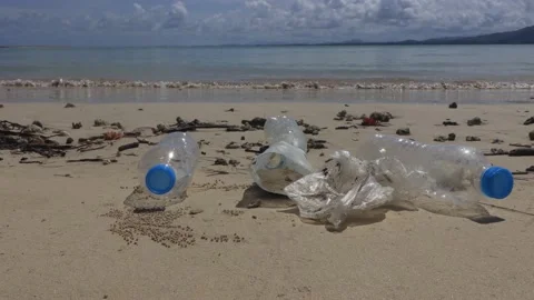 Beach cleanup Stock Footage 131135424