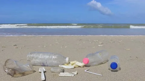 Beach cleanup Stock Footage 132931010