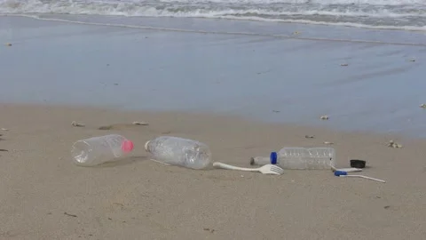 Beach cleanup Stock Footage 132931464