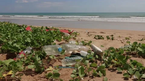 Beach cleanup Video stock 134386688