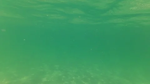 Beach, clear crystal water Stock Footage 95926652