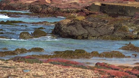 Beach with cliffs and sea waves on a sunny day Stock Footage 131521062